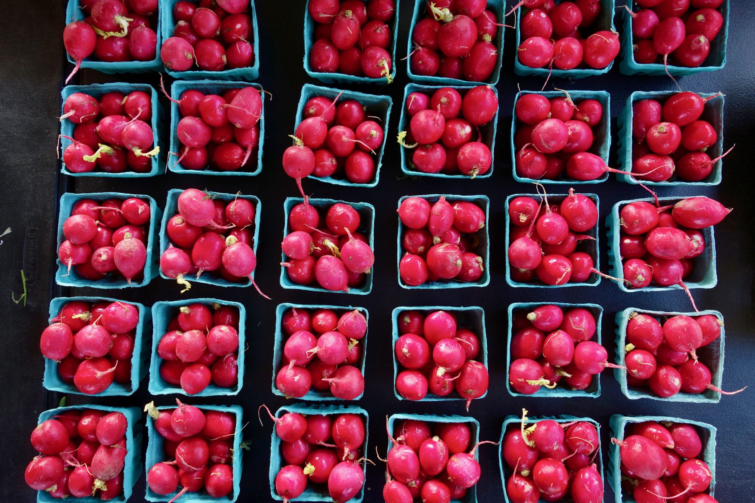 Community Food Incubation