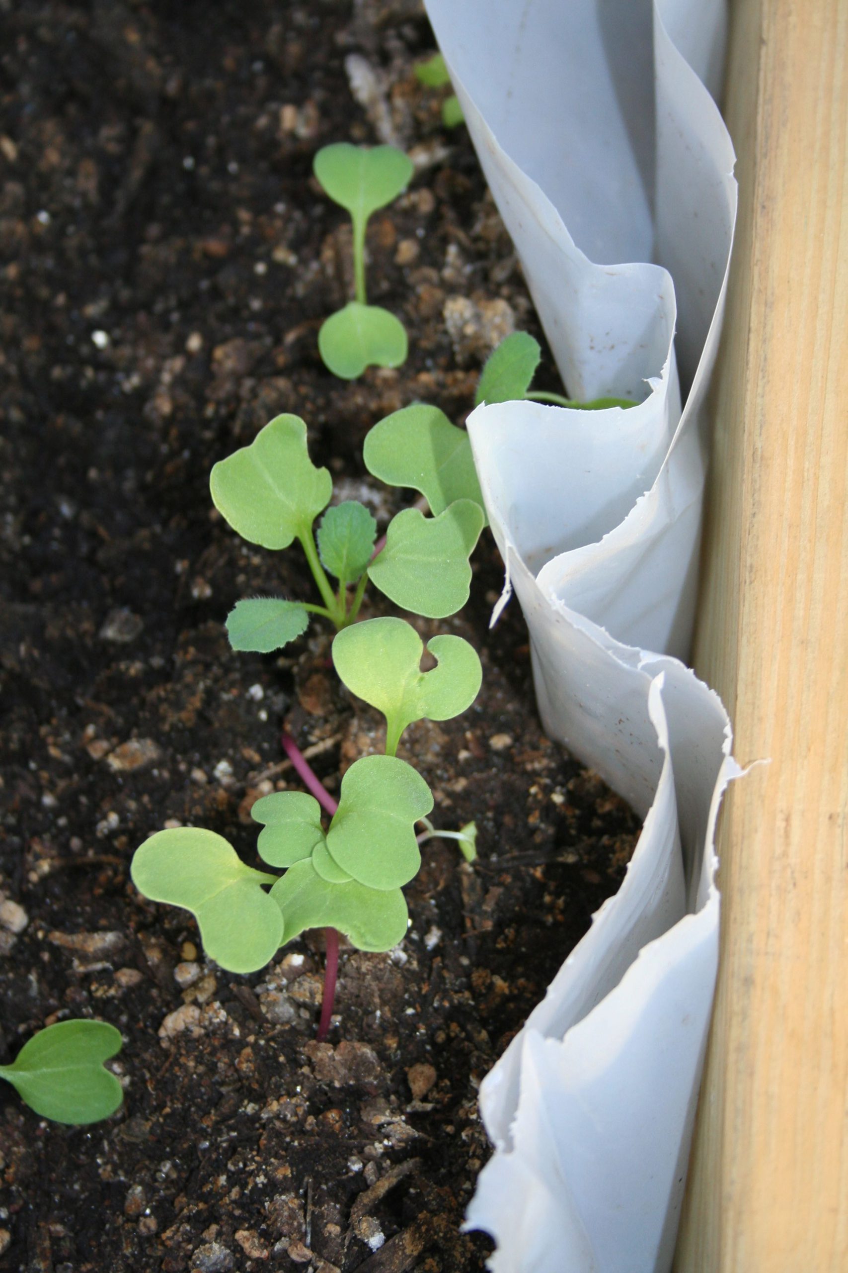 Cultivating Community