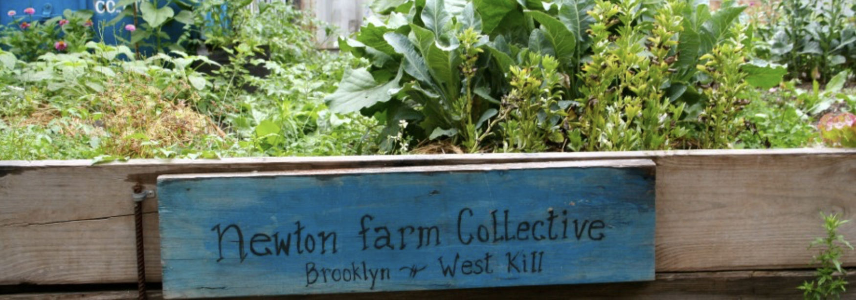 New Farm Collective
