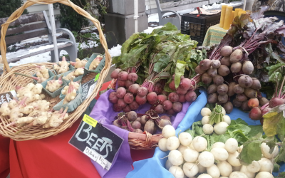 Healthy Food as Medicine? A Closer Look at Fruit and Vegetable Prescription (FVRx) Programs Across the Country.