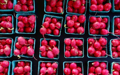 Community Food Incubation and the Potential to Create Small Food Businesses in New Brunswick