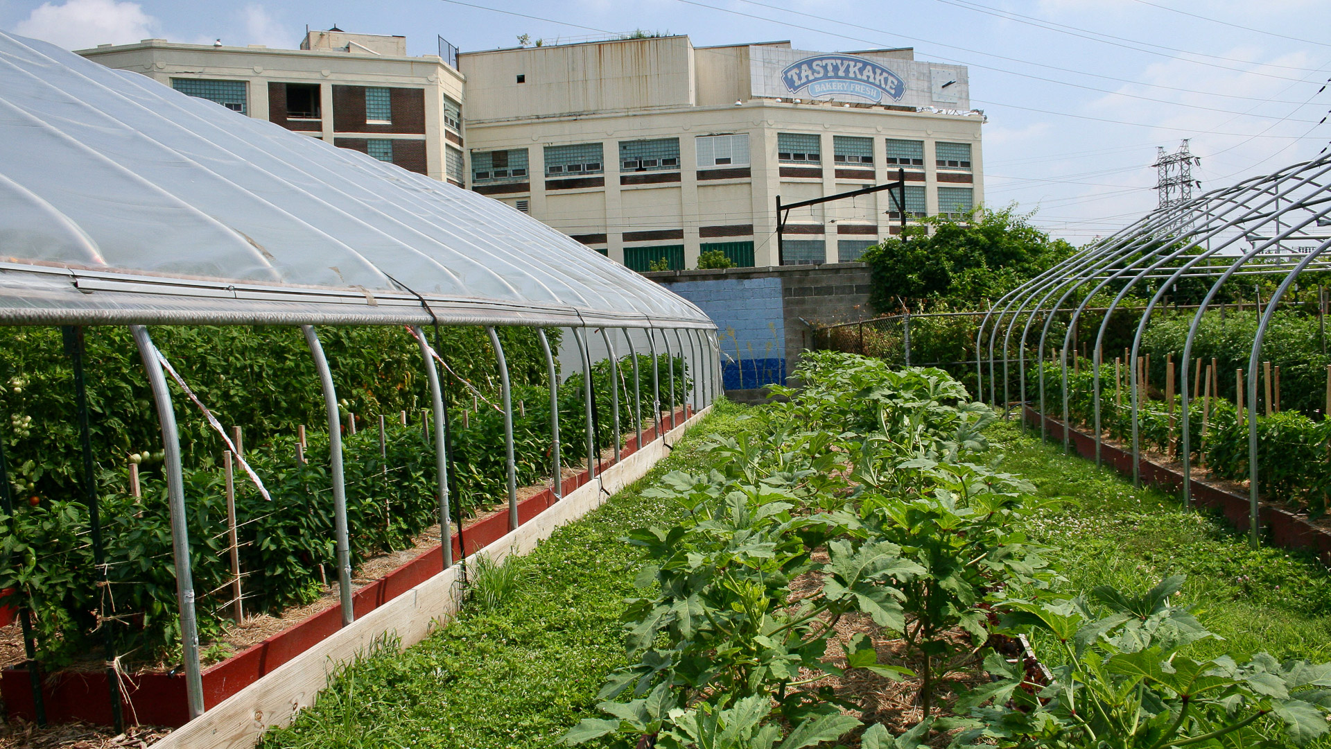 Philabundance Philabundance